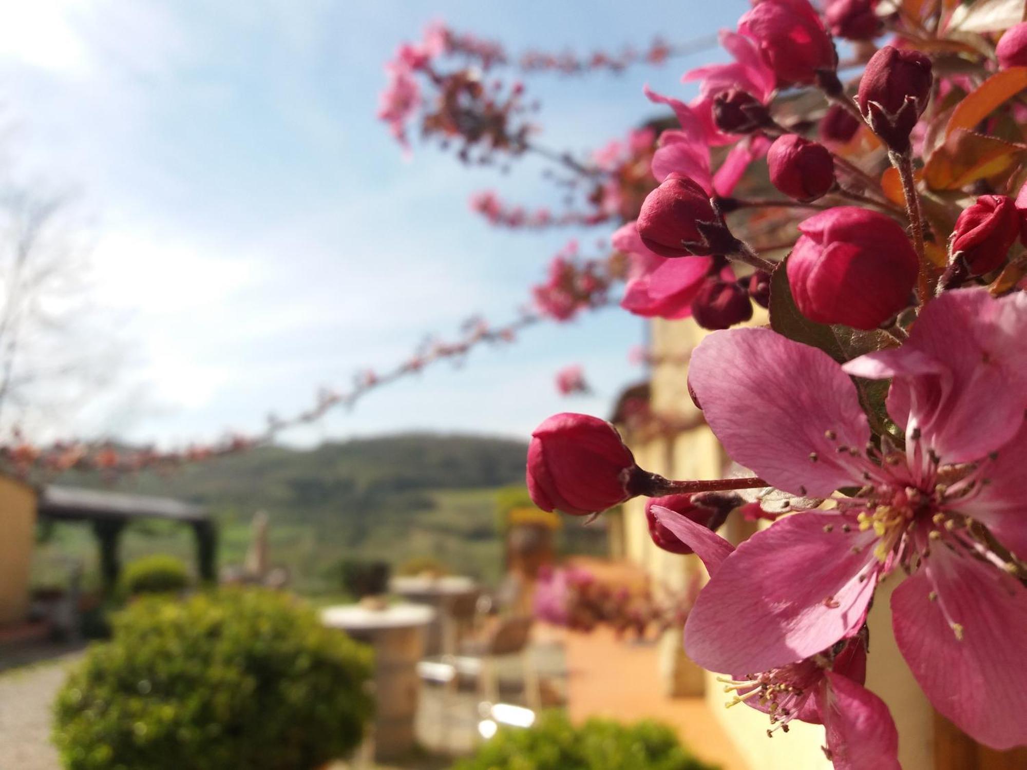 Relais Poggio Borgoni *