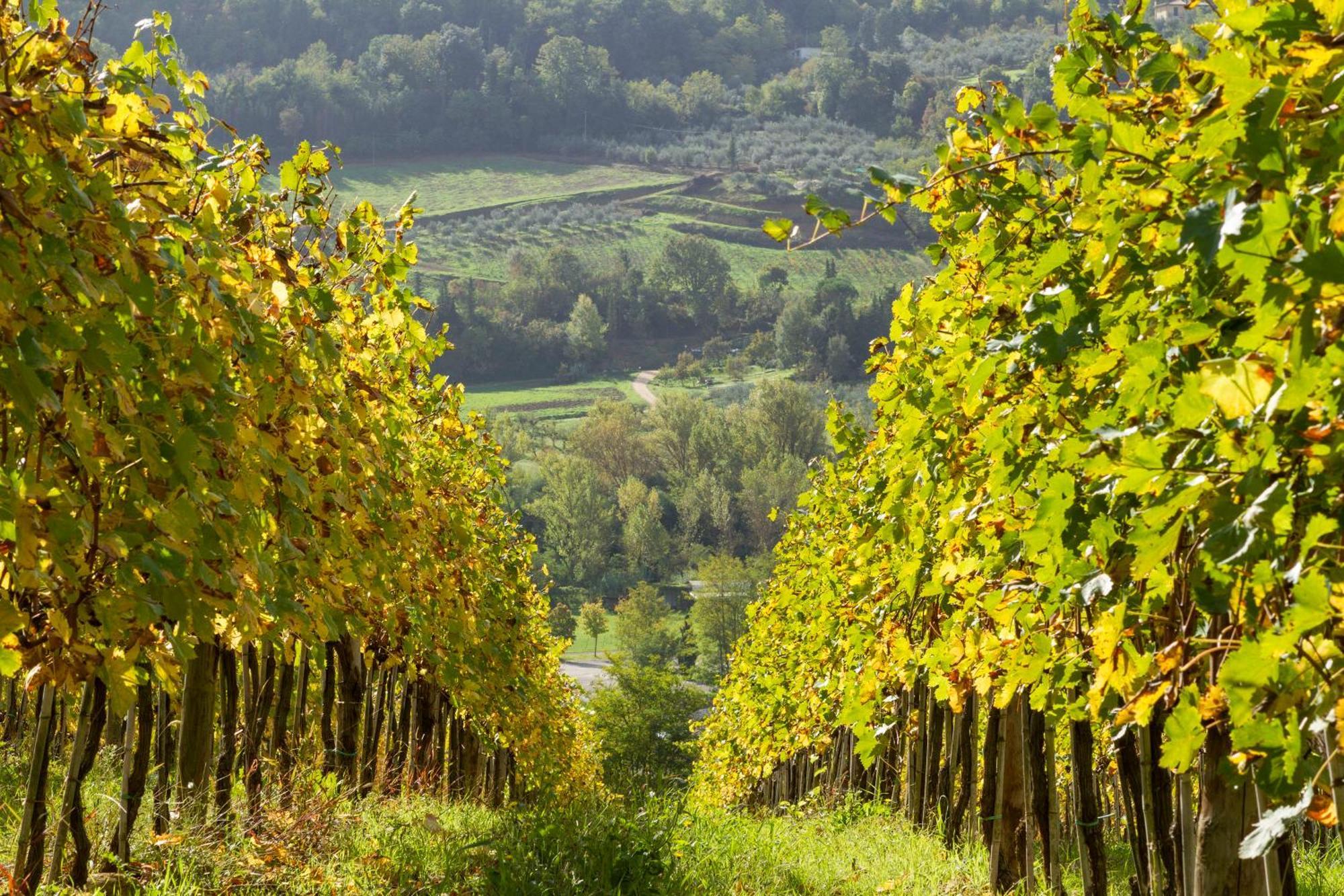Relais Poggio Borgoni Séjour à la ferme