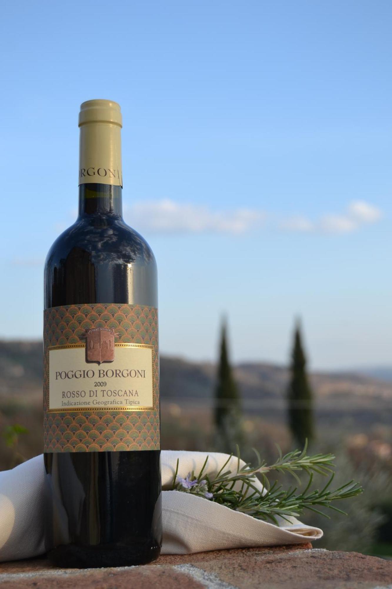 Relais Poggio Borgoni Farm stay San Casciano in Val di Pesa